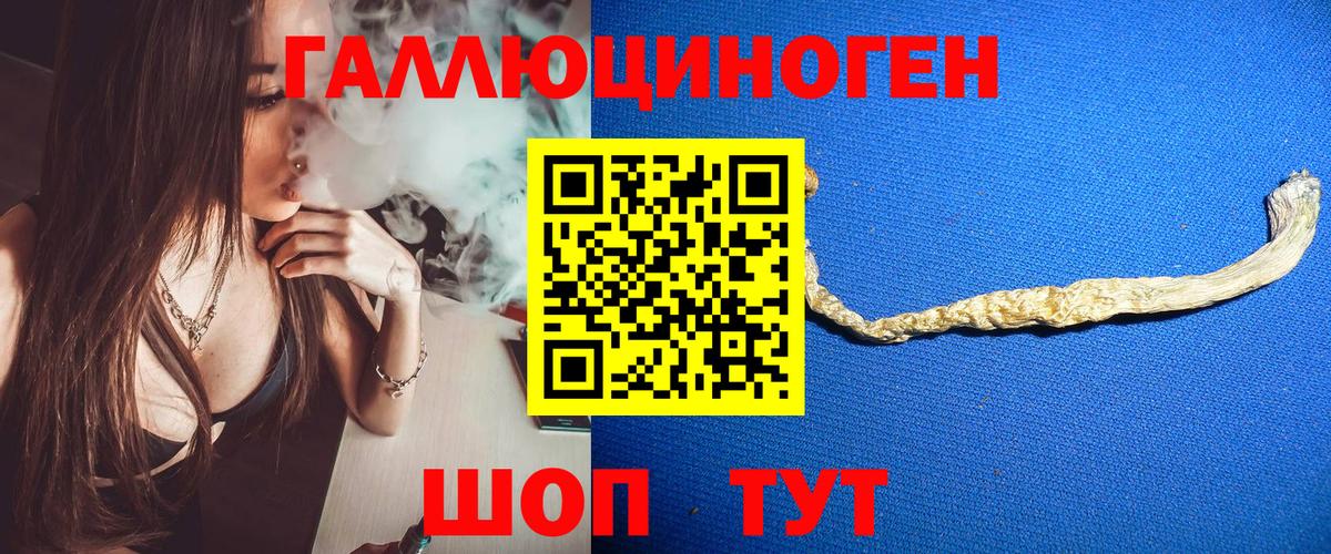 Псилоцибиновые грибы GOLDEN TEACHER  Псилоцибиновые грибы ЛСД  Дубна  Вход с VPN 