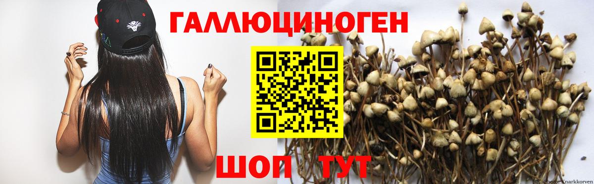 Галлюциногенные грибы MAGIC MUSHROOMS Дубна
